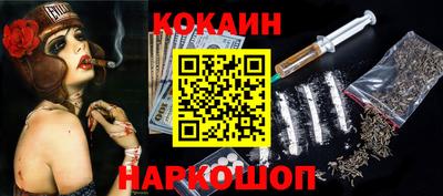 индика Пенза