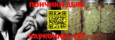 индика Пенза