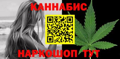 индика Пенза