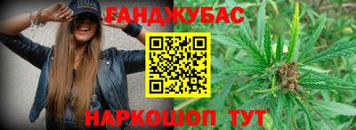 индика Пенза