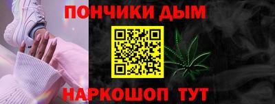 индика Пенза