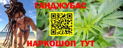 индика Пенза