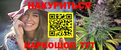 индика Пенза