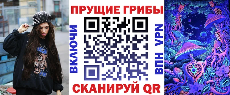 kraken как войти  где купить наркоту  Тында  Псилоцибиновые грибы Psilocybine cubensis 