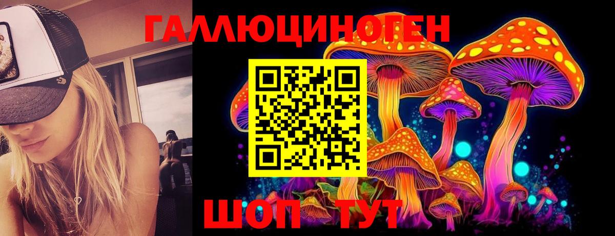 Тында  Псилоцибиновые грибы мицелий  Вход с VPN  Галлюциногенные грибы мухоморы 