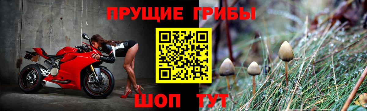 Псилоцибиновые грибы Magic Shrooms Тында